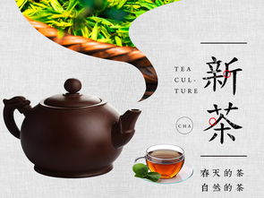新茶上市茶叶促销海报图片设计素材 高清psd模板下载 111.35MB 其他海报大全